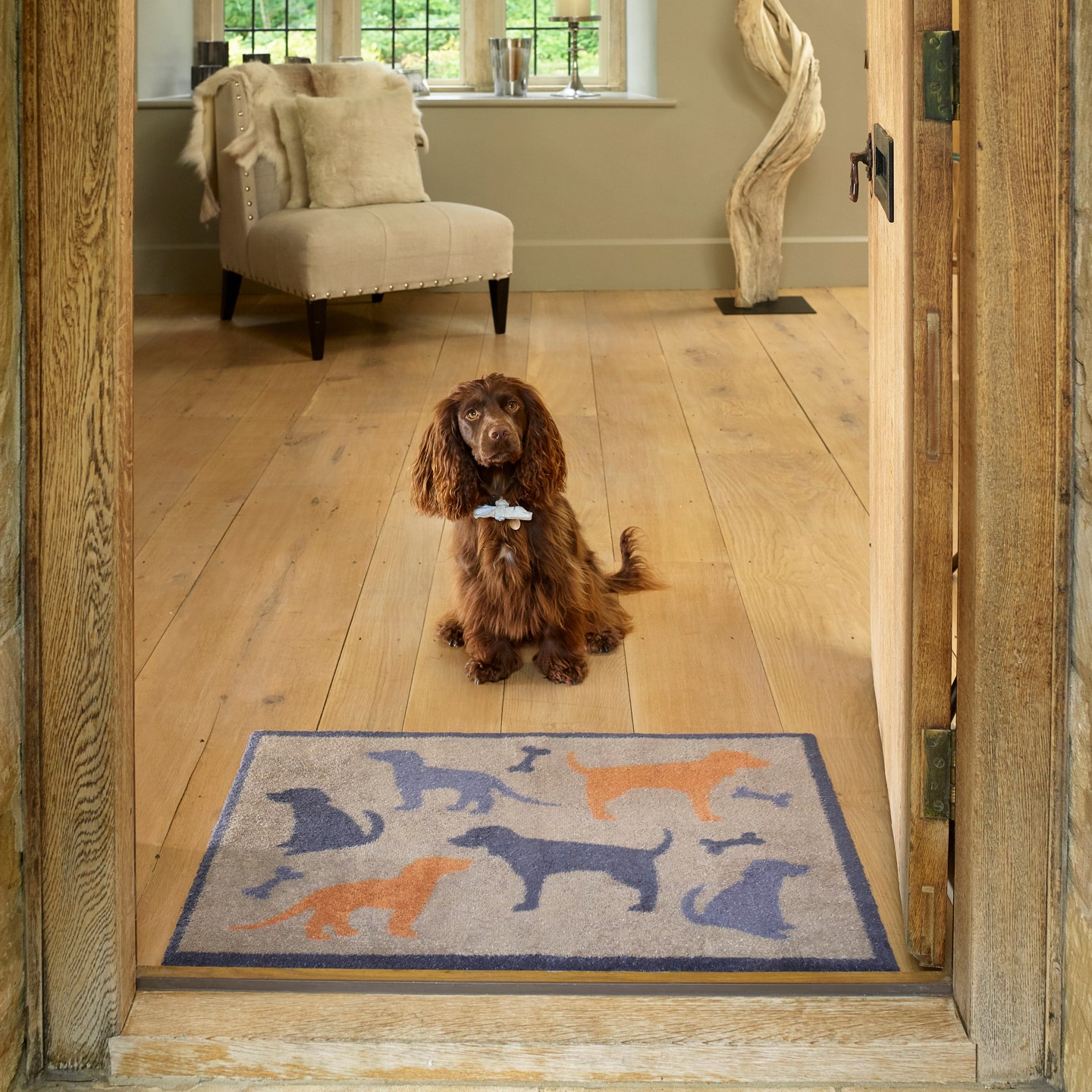 Dog And Bone Washable Doormat In Multi